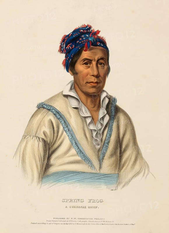 Spring Frog. A Cherokee Chief (1838), Native American, Historical Native American tribes from North America, Charles Bird King (1785, 1862), Historical, digitally restored reproduction from a 19th century original, Record date not stated
