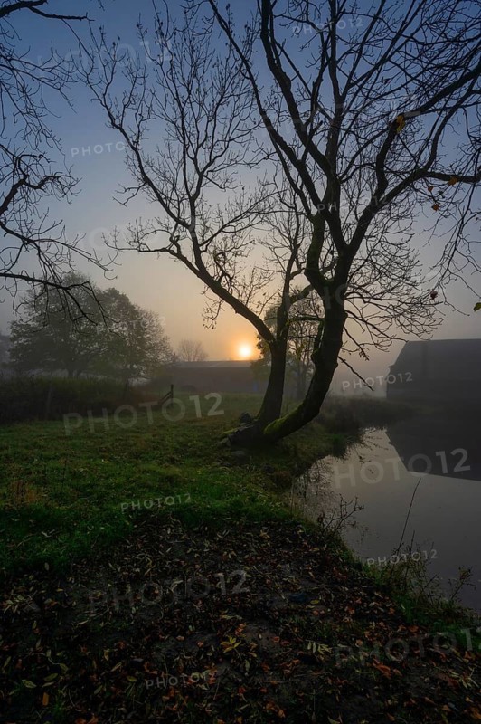 Morning sun on a foggy morning at Gut Othenstorf, Othenstorf near Rehna, Mecklenburg-Vorpommern, Germany