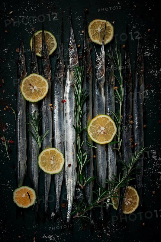 Fresh, Black Sea fish. raw, sargan, sea pike, top view, no people