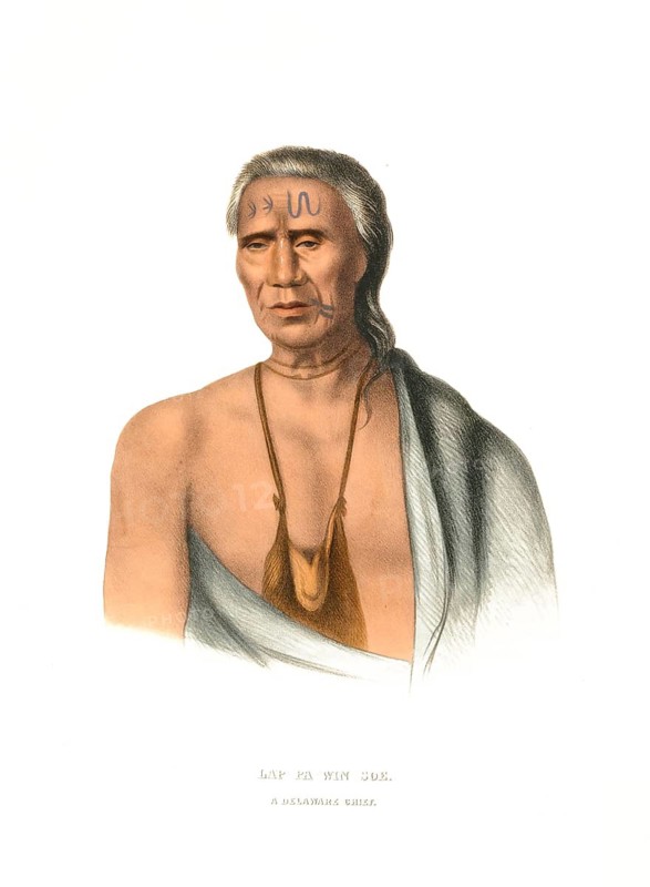 American Indian, Native American, Lap-Pa-Win-Soe, a chief of the Delaware, United States of America, USA, Painting by Charles Bird King (1785, 1862), c. 1840, Historical, digitally restored reproduction from a 19th century original, Record date not stated