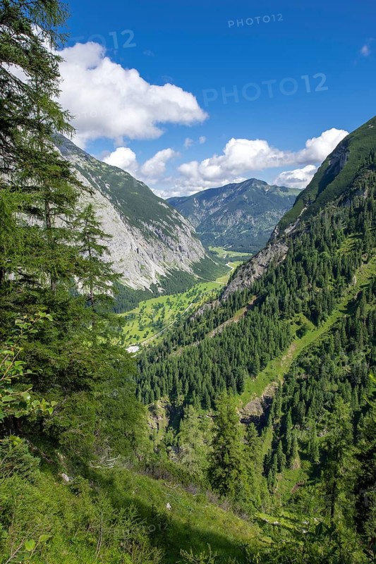 Großer Ahornboden in summer, seen from the path to the Binsalm, Karwendel Mountains, Tyrol, Austria