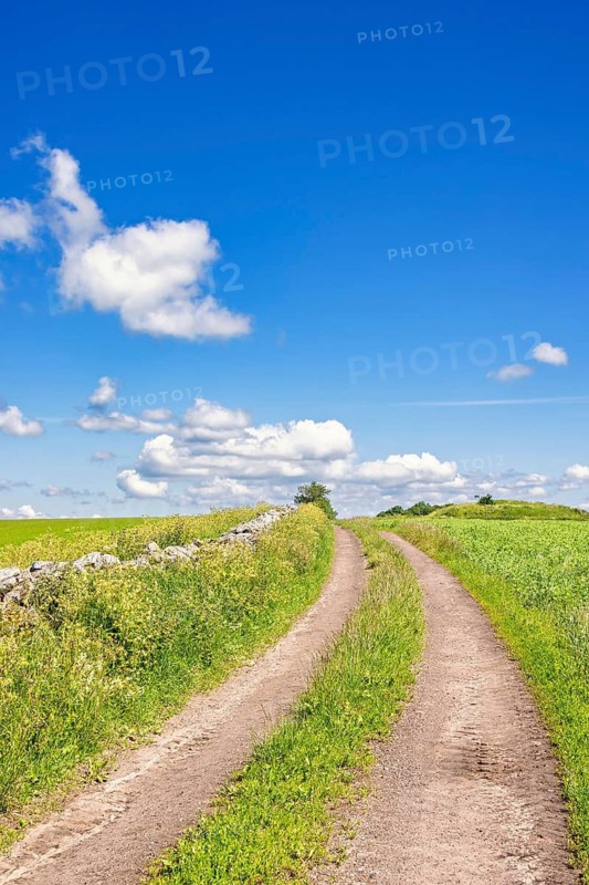 Dirt road with a grass shoulder on a hill in the countryside with a blue sky a sunny summer day, Sweden