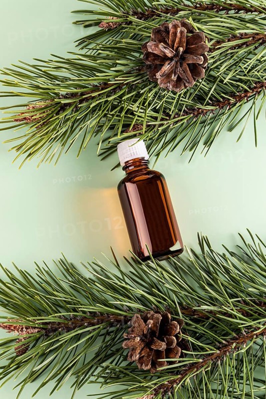 Top view of a brown glass bottle containing essential oil, situated among vibrant green pine needles and pine cones on a soft green background