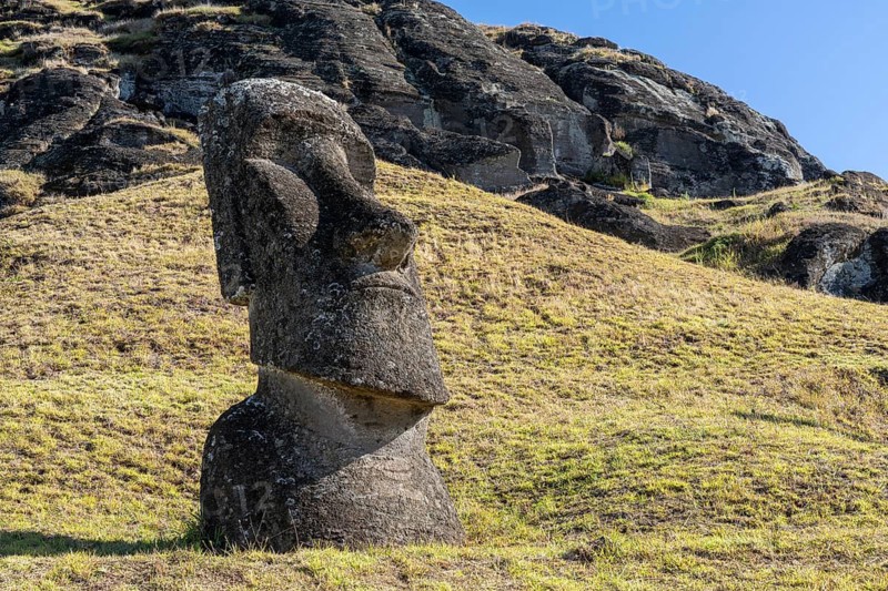 Moai stone statue on the slope of the Rano Raraku volcano, Easter Island, Chile