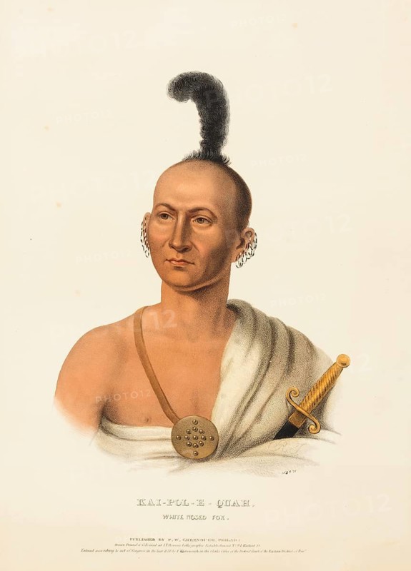 Kai-Pol-E-Quah, White Nosed Fox (ca. 1836), Native American, Historical Native American tribes from North America, Charles Bird King (1785, 1862), Historical, digitally restored reproduction from a 19th century original, Record date not stated