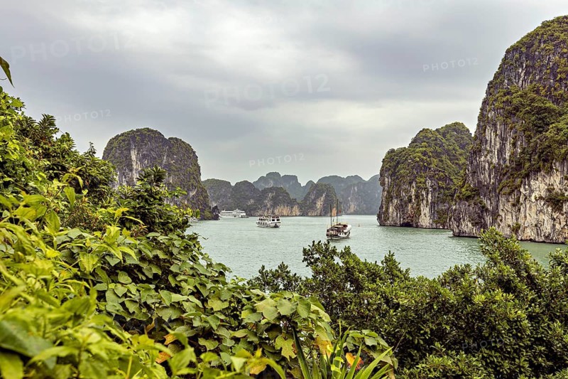 Several boats sail in the sea between green islands and rocks, The landscape and islands of Halong Bay in Vietnam