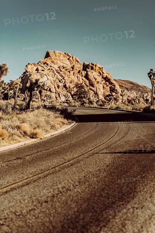 Joshua Tree National Park