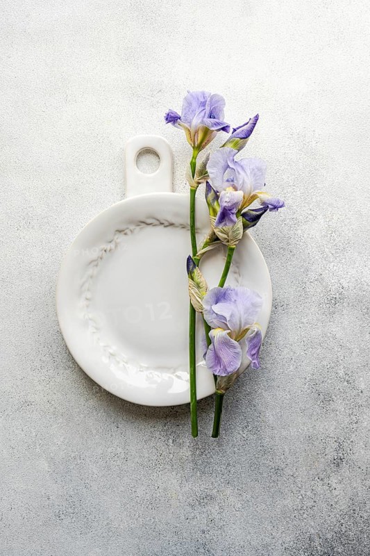 Top view of beautiful violet iris flowers arranged on an elegant white ceramic plate over a textured grey background, emphasizing simplicity and natural beauty in home decor