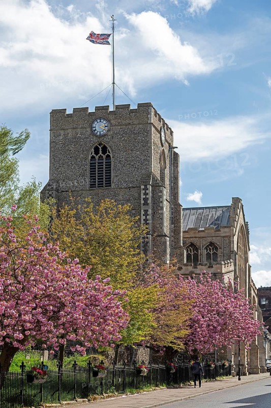 St Mary's Church, Bury St Edmunds, West Suffolk, England, Great Britain