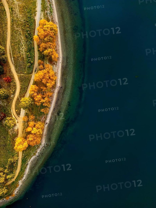 Aerial view of Queenstown during autumn, showcasing vibrant yellow and orange foliage along the serene lake, under the clear blue sky, embodying New Zealand's picturesque beauty