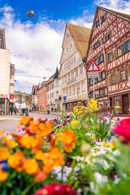 Colourful flowers in the foreground of a street with historic half-timbered houses, Nagold, Calw district, Germany