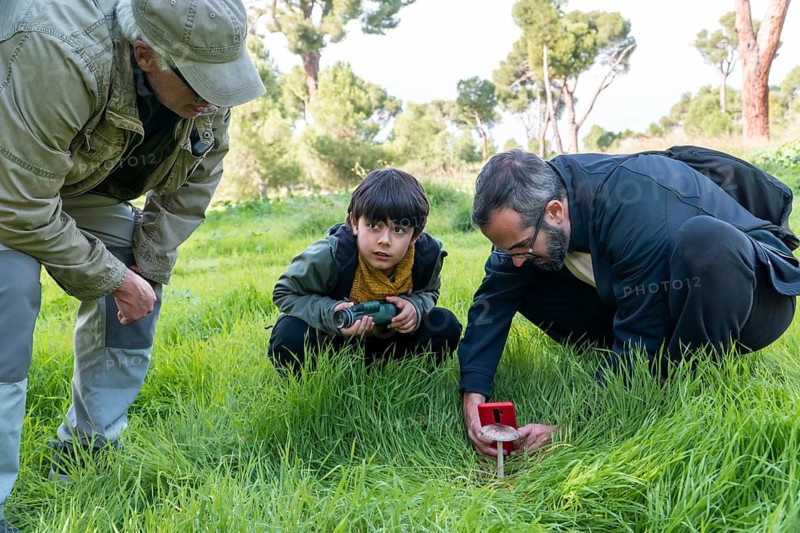 A grandfather, father, and young son explore a lush forest together. The father uses a smartphone to identify a mushroom, turning the outing into a fun and educational bonding moment