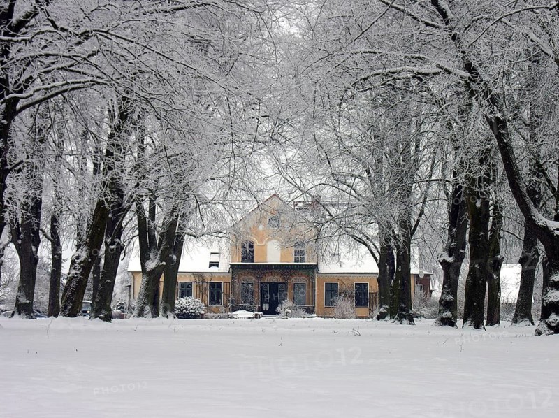 Winter lime tree avenue (Tilia) with an Art Nouveau villa built around 1900, Rögnitz, Mecklenburg-Vorpommern, Germany