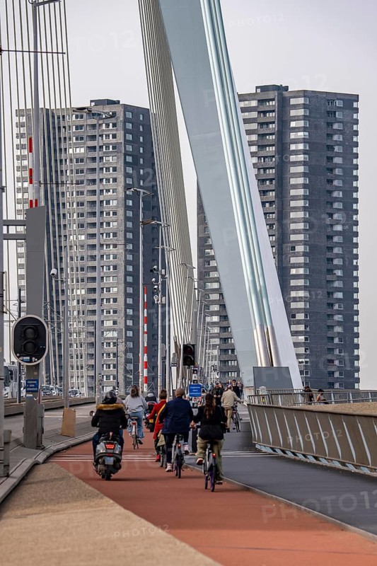 The Erasmus bridge over the Nieuwe Maas in Rotterdam, pedestrians, two-wheelers, cars, tram traffic, the Netherlands