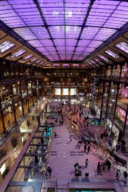Grande Galerie de l'Evolution, Musée National d'Historie Naturell, National Museum of Natural History, exhibition hall with animal models, Jardin des Plantes, Paris, France