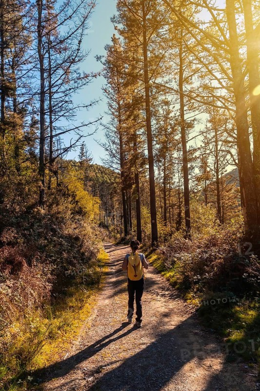 A young woman in an autumn sunset on a path through a beautiful forest, getting to know nature