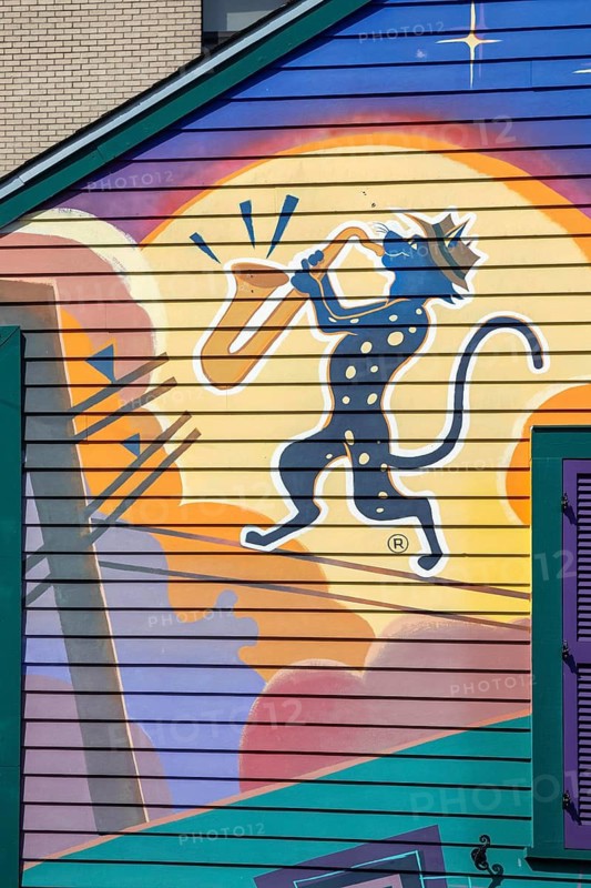 New Orleans, Louisiana - The Spotted Cat Music Club. New Orleans art and architecture often features bright colors