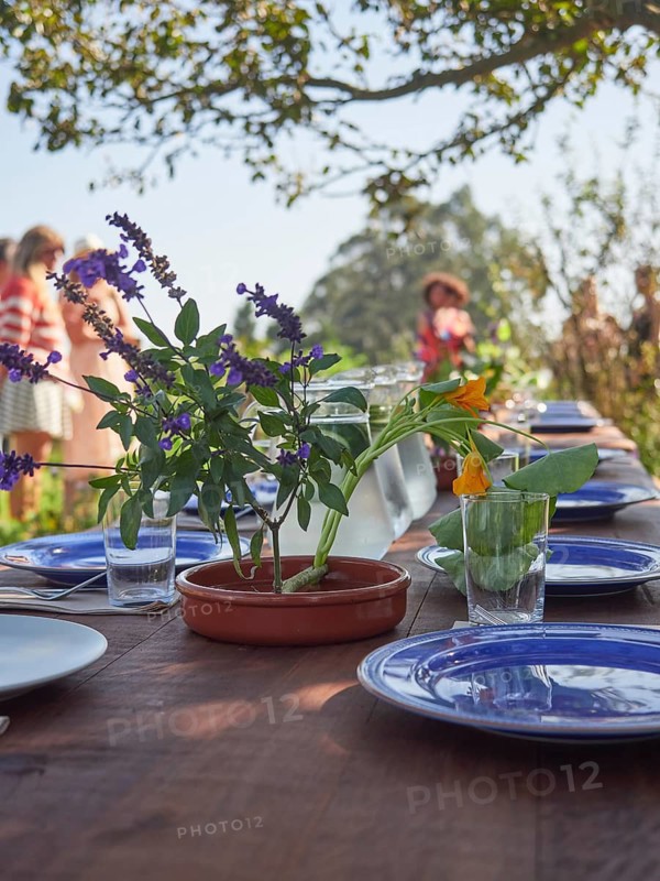 Violet flowers placed on wooden table with dishware and glasses on sunny summer day during holiday celebration
