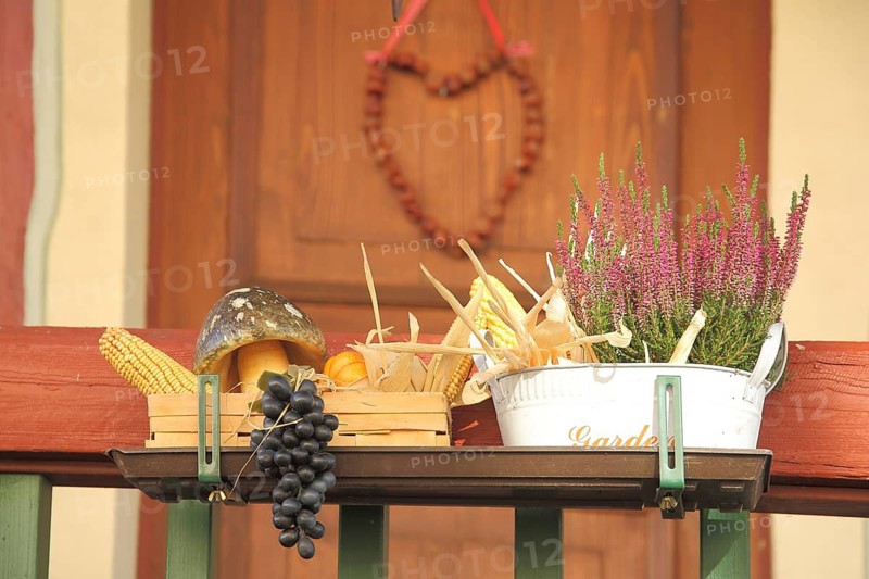 Idyllic decoration with red grapes, blooming heather and heart, decorations at the house entrance, basket with corn on the corn cob and mushroom, heart-shaped, Idstein, Taunus, Hesse, Germany