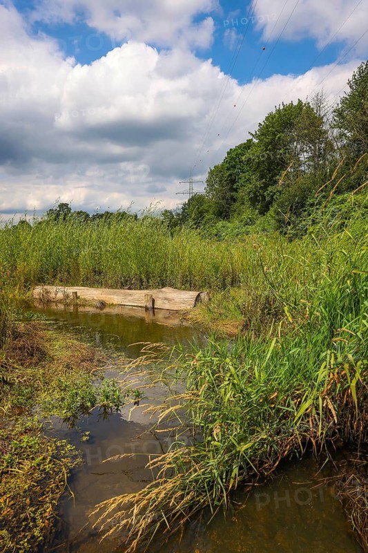 Bottrop, North Rhine-Westphalia, Germany - Renaturalised Boye, the tributary of the Emscher, was transformed into a near-natural watercourse, flood protection through newly designed flooding areas, dead wood also introduced here, the Boye is now free of wastewater after the construction of a parallel sewer, is part of the Emscher river system and thus part of the Emscher conversion, was previously an open, above-ground wastewater channel, mixed water channel with surface water and wastewater