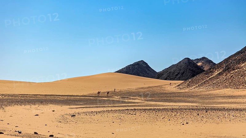 Vast desert landscape with dunes, mountains and small camel caravans under a blue sky, The endless landscape of the Sahara in Algeria