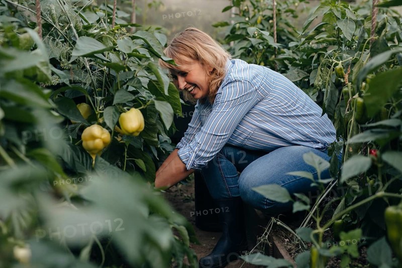 A woman, in casual clothes, happily tends to pepper plants in a lush greenhouse environment, showcasing her passion for gardening and sustainable living