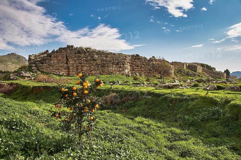 Cyclopean wall, stone ruins in the countryside with an orange tree in the foreground under a blue sky, Tiryns, ancient city in Argolis, Mycenaean, Peloponnese, Greece