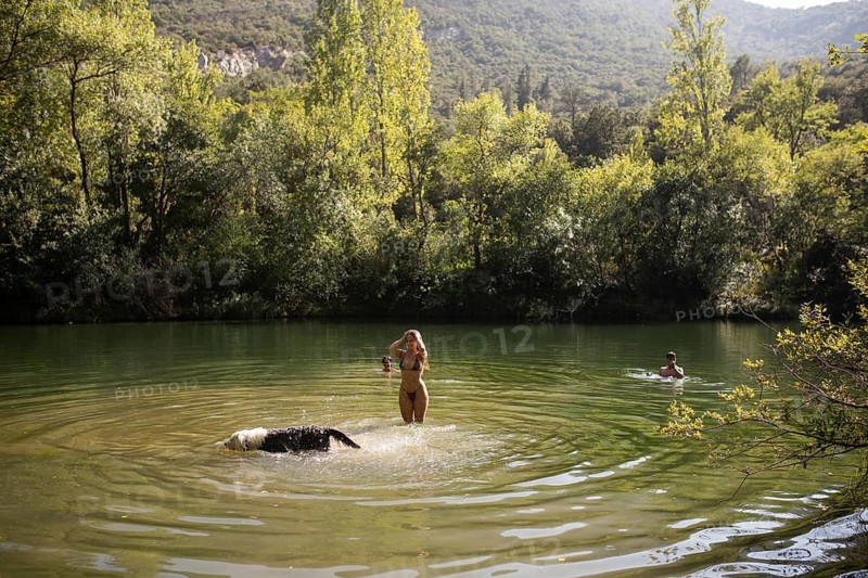 A man and two women enjoy a warm summer day in a serene lake surrounded by lush greenery. One woman wades in the water with a black and white dog, while the other swims nearby