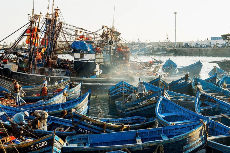 Fishing boats, fishing port, Essaouira, UNESCO World Heritage Site, Atlantic coast, Morocco