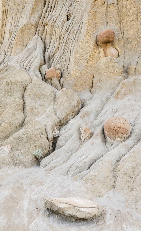 Detailed view of eroded clay formations featuring unique cannonball concretions at Theodore Roosevelt National Park, North Unit, North Dakota, showcasing nature's artistry in geology