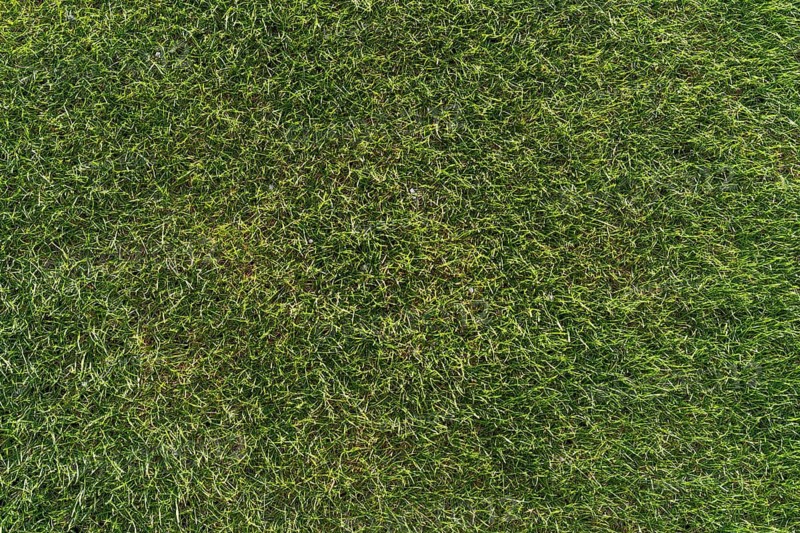 Grass at the football stadium during sunny summer day in Lubin, Poland