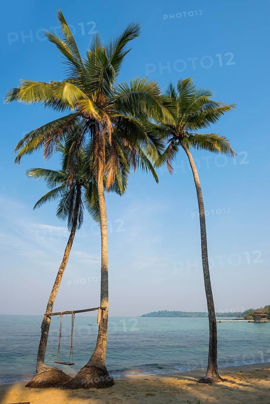 Sandy beach beach with coconut palms, Ao Noi Beach, Koh Kood, Koh Kut, Gulf of Thailand, Thailand