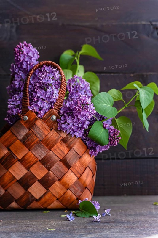 A rustic wicker basket brimming with vibrant purple lilac flowers and lush green leaves sits on a wooden surface, creating a picturesque and serene composition