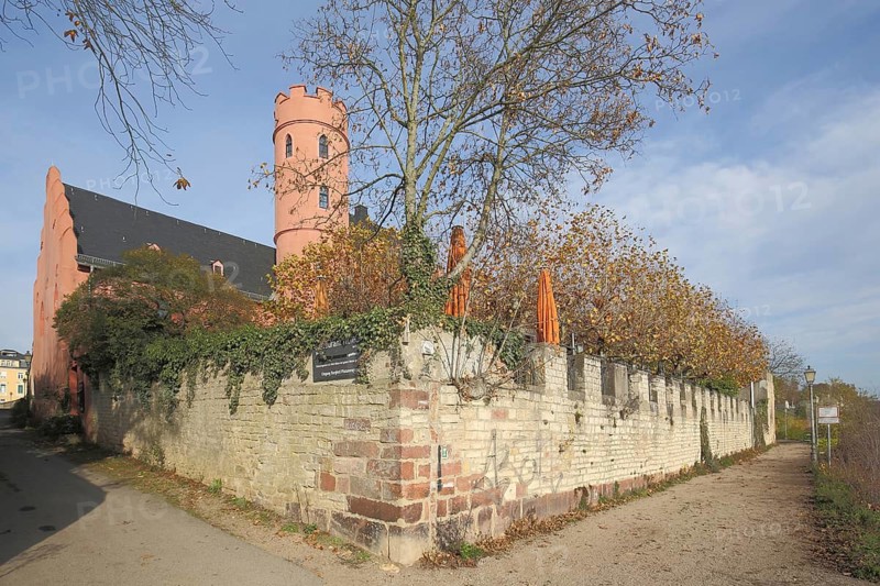 Crass Castle in autumn in Eltville im Rheingau, Taunus, Hesse, Germany