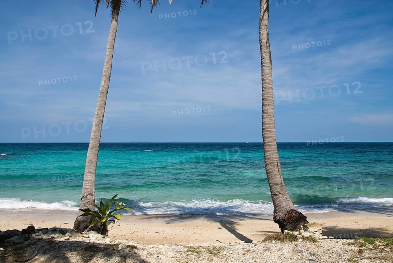Konkare Bay on Racha Yai Island off the southern tip of the Thai holiday island Phuket, Thailand, Siam, Asia, Southeast Asia, palm trees, coconut trees, beach, sandy beach, paradise, beach