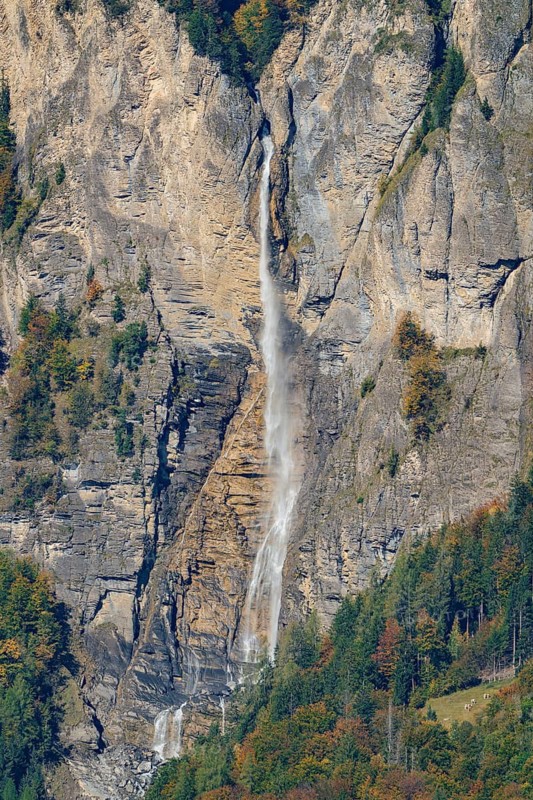 High waterfall flows over rocky cliffs, surrounded by autumn vegetation, Switzerland
