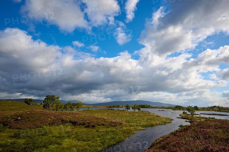 River in a vast landscape under a cloudy sky, Rannoch Moor, Bridge of Orchy, Scotland, United Kingdom, Great Britain