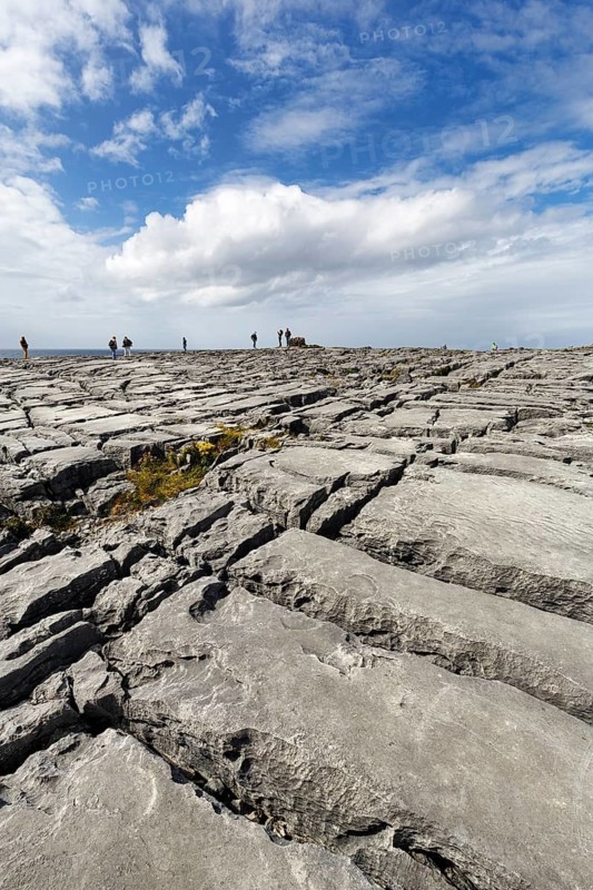 Bizarrely shaped limestone slabs, walkers on the horizon, coastline, limestone coast of the Burren, Murrooghtoohy viewpoint, County Clare, Wild Atlantic Way, Atlantic Ocean, Ireland