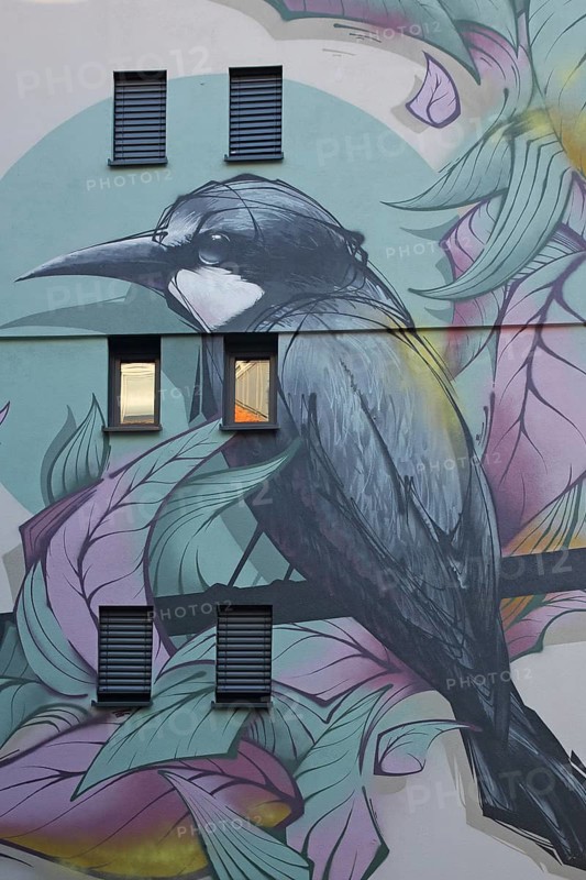 Mural bleaching bird by Studio Lacks 2023, graffiti, street art, bird figurine, locker, bee-eater, house facade with window, old town, Mainz, Rhine-Hesse region, Rhineland-Palatinate, Germany