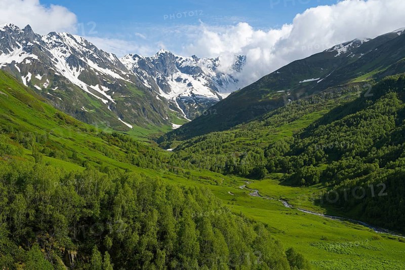 Mountainous landscape with forest, river and snow-capped peaks under blue sky, Zagari Pass, Svaneti, Greater Caucasus, High Caucasus, Georgia