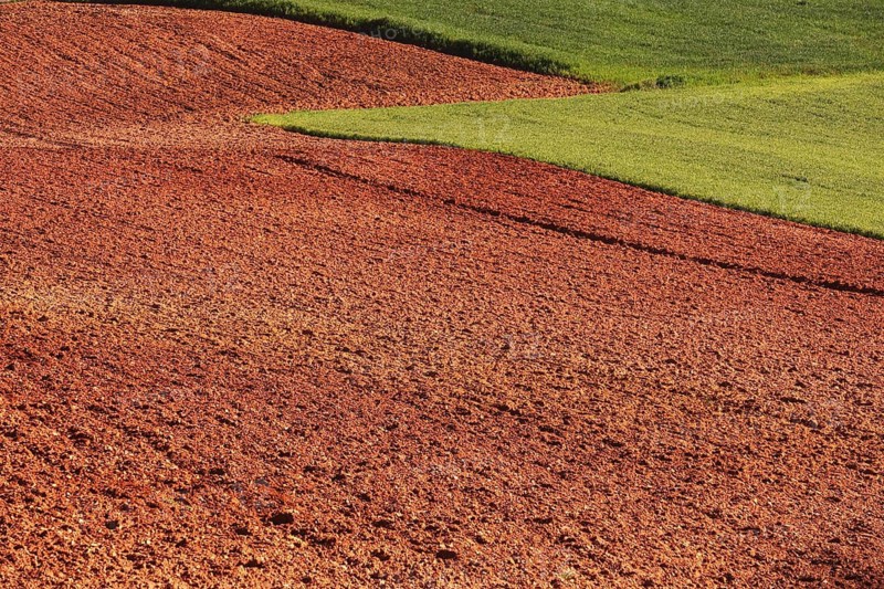 A vibrant landscape showcasing the striking contrast between rich red soil and lush green crops. The image represents fertile land ready for planting, under a clear sky