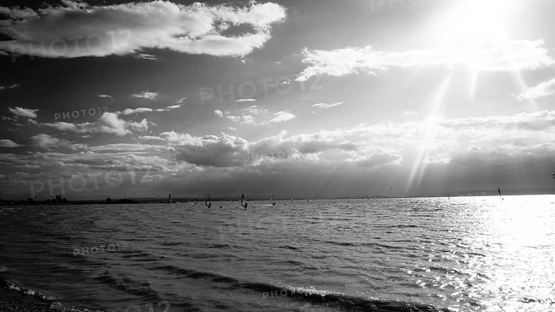 Sun-drenched seascape with sailboats and light breeze, monochrome, Lake Neusiedl, Austria