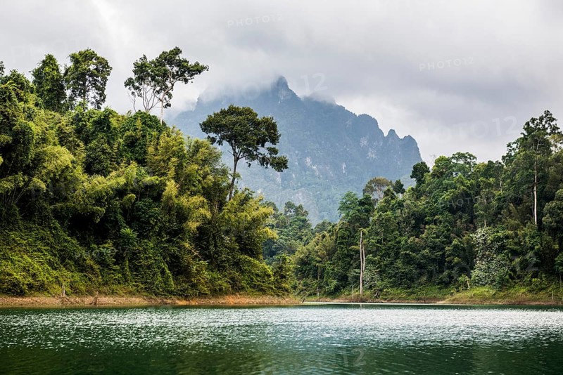 Lake with jungle and rainforest and steep mountains, Cheow Lan Lake, Khao Sok National Park, Phang Nga, Surat Thani, Thailand