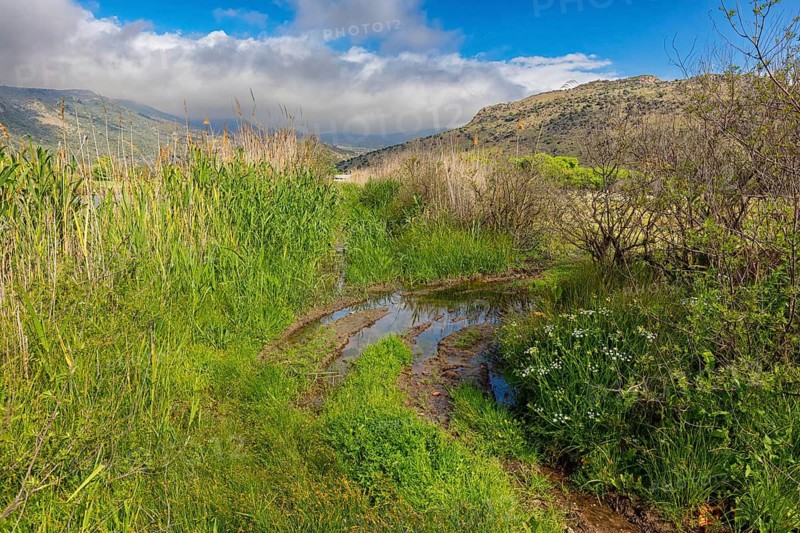 Landscape Greece, islandLesbos, Metochi Lake, river, bird habitat, Lesbos, Greece
