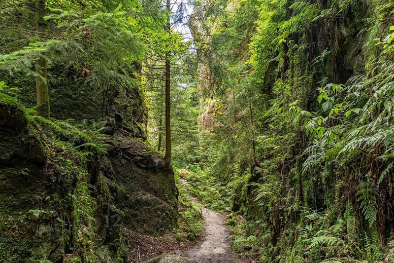 Mühlsteinbrüche hiking area near Jonsdorf in the Zittau Mountains, Upper Lusatia, Saxony, Germany
