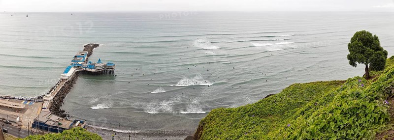 Surver, Coast, Lima, Peru