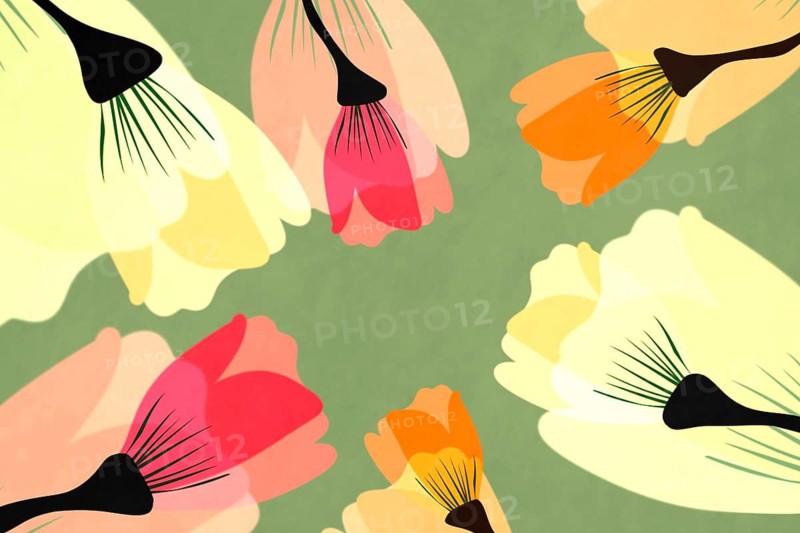 This digital art features an abstract floral pattern with vibrant petals in shades of pink, orange, and yellow, set against a muted green background, perfect for creative projects