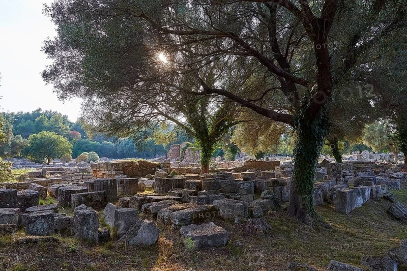 Buleuterion, Ancient ruins under shady trees with sunlight, Archaeological Site, Ancient Olympia, Olympia, Peloponnese, Greece