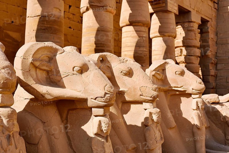 Aries sphinxes in front of the colonnades, Karnak Temple, Luxor, Egypt