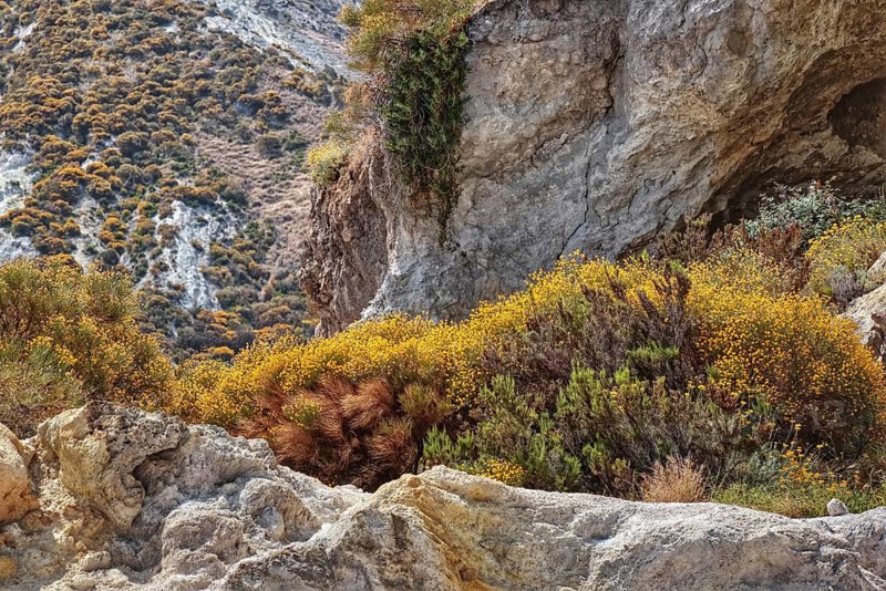 Rocky landscape with yellow bushes and barren vegetation on a steep rock face, Vulcano Lipari Islands Sicily Italy